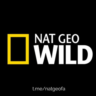 نشنال جئوگرافیک فارسی| NatGeoFa (@natgeofa)