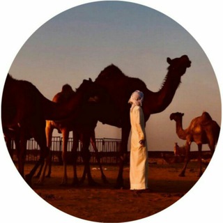 ˼‏ وليـ✿ـف الروح‌💙˹➴. (@povdgv)