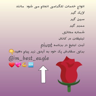 ربات ساز کاکتوس (@robot_saz_cactous)