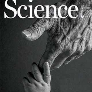 SCINews (@scijournals)