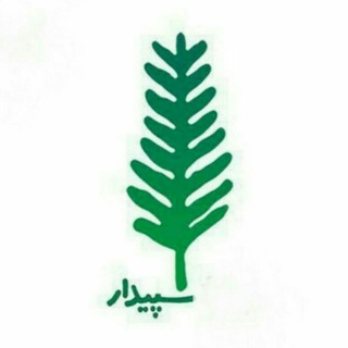 سپیدار (@sepidaarr)