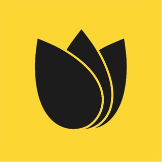 Sesameseed (@sesameseedorg)