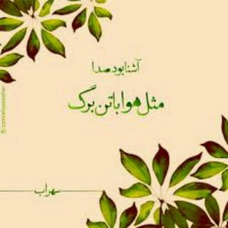 شاســــــوسآ (@shasousaaaa)