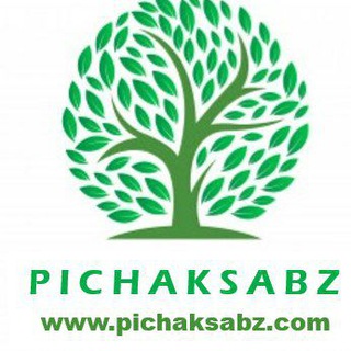 Pichaksabz (@shayancactus)