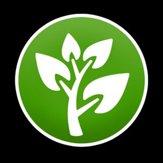 طب سنتی علامه ضیایی (@tebeea)