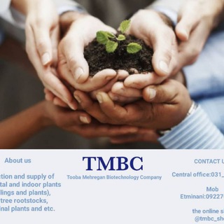 محصولات کشت بافتی مهرگان (@tmbc_shop)
