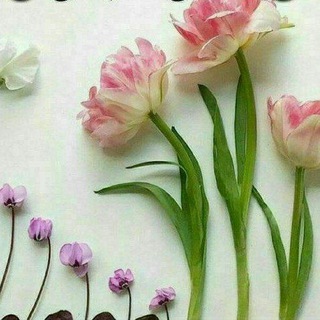 🍃🌸منتخب های عاالی 🌸🍃 (@uyeqponmb)