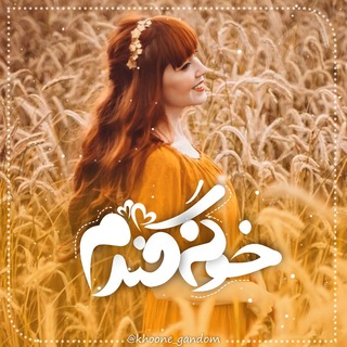「خـــــــونه گنـــــدُم 」 (@khoone_gandom)
