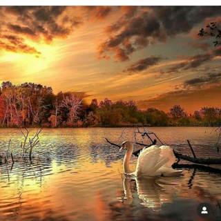 از سرنوشت 😍❤️ (@eshghameed)