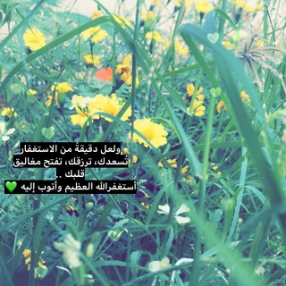 تأثير الاتصال المفضل تحت الأرض (@hm19122018mh)