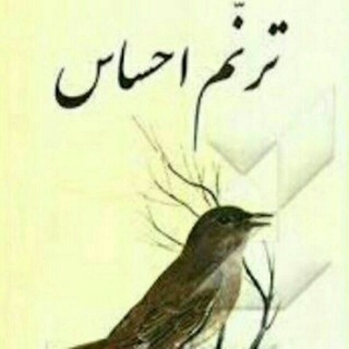 ترنم احساس🌺🍃 (@ehsas_trannom)