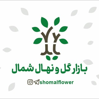 بازار گل و نهال شمال (@shomalflower)