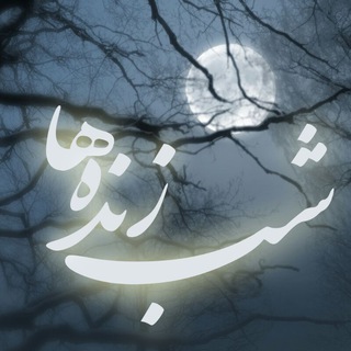 شب زنده ها (@shabzendehha)