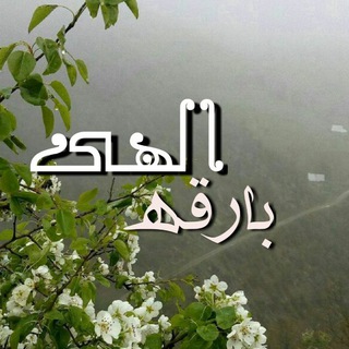 بارقه الهی (@bareghe313)