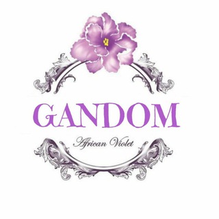 کانال آموزشی بنفشه آفریقایی گندم || جانان (@gandomafricanviolet)