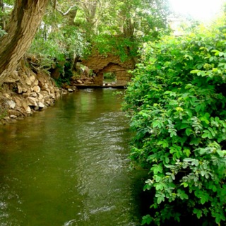 کانال دهسد (@dehsadtelegram)