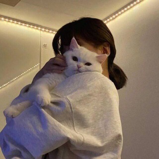 𝗽𝗶𝘀𝗵𝗶 (@pishimood)