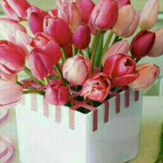 🏩انجمن ام اس استان مرکزی🏩 (@arakms)