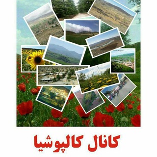 کالپوشی ها (@kalpooshia)