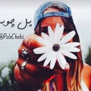 💎پُـــل چــــوبـي💎 (@polechobii)