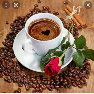 فال ارمنی قهوه و تاروت ساغر (@falesaghar)