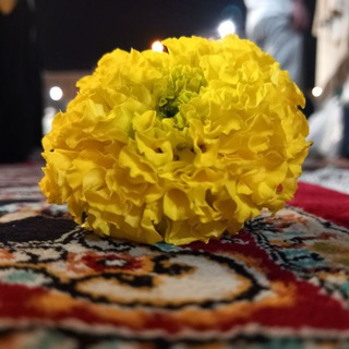 دنیای من (@donyayeee_mann)