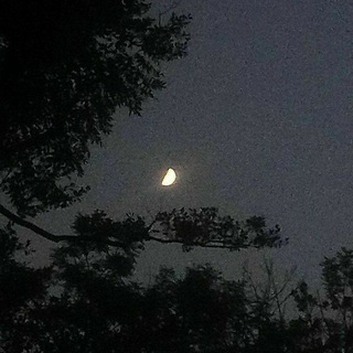 صدای ماه🌙 (@burnt_dream)