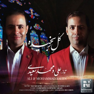 برادران سعیدی (@saeedibrother)