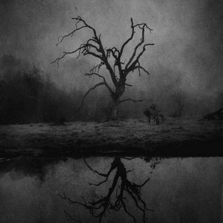 ᦔꪖ𝕣𝕜 ꪑꫀ𝕥ꪖꪶ (@nevermindrg)