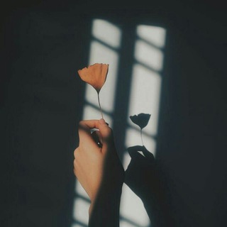 نــَـــبــْــض✨ (@majnonebidel)