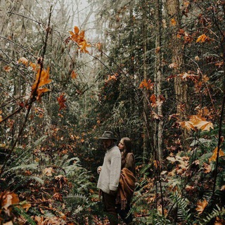 『••بیــدِمَــجـنـون🍃••』 (@love_weepingwillow)