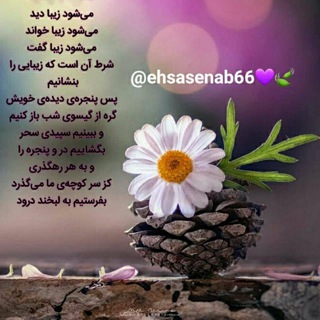 احساس"ناب" (@ehsasenab66)