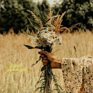 گـنـدم‌ زار ◕‿◕🌾 (@ftme_fathi)