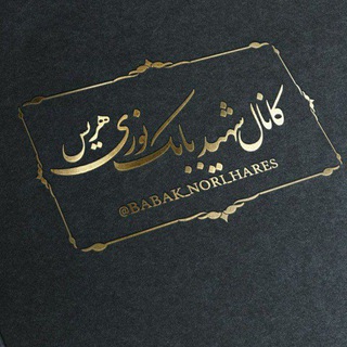 「کانال رسمی شهید بابک نوری」 (@babak_nori_hares)