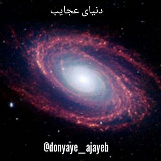دنیای عجایب (@donyaye_ajayeb)