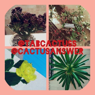 کانال آموزشی فروشگاه اینترنتی سبز نهاد (@tabcactuss)