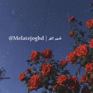 || ملتِ جغد 🦉 || (@melatejoghd)