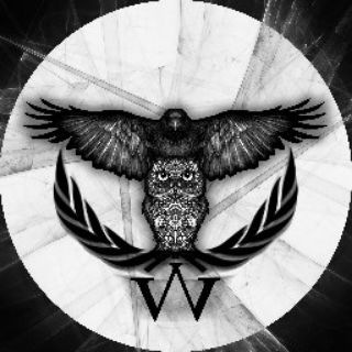 Wallamon (@wallamon_ir)