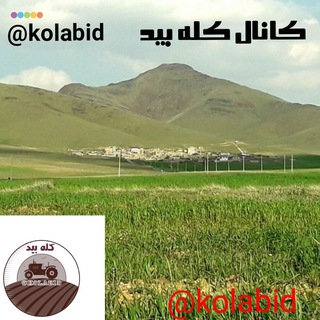 کانال کله بید (@kolabid)