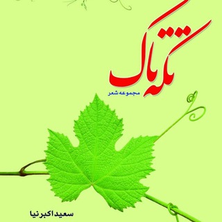 سعیداکبرنیا (@tekke_taak)
