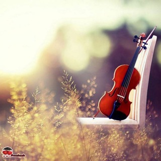 🎻کورد ـ موزیک🎸 (@kordmozik7)