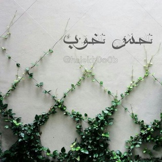 「 حِـسِ خــ💌ــوب 」 (@halekh0o0b)