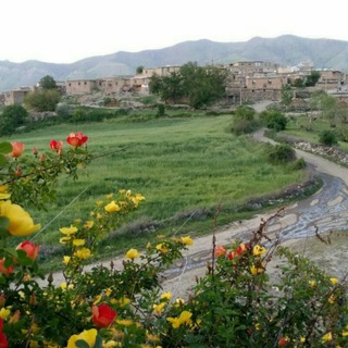 ئاوایی گازرخانی (@gazerkhani)