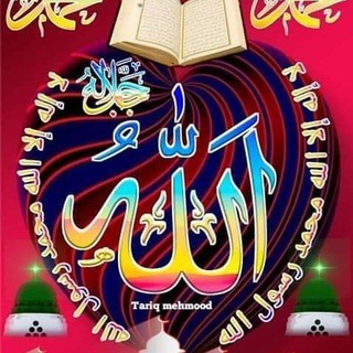 گروه تلاوت گران قرآن و یاران رسول الله (@mohamadamynseyedaziz)