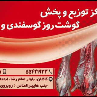 مرکزتوزیع و پخش گوشت کاشان (@gooshtkashan)