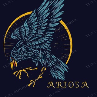 ░ ᗩᖇIOᔕᗩ ░ (@ucpubga)
