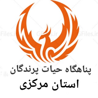 انجمن حیات پرندگان مرکزی (@hamyan_ir)