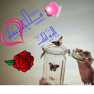 لْٰــ ؏شَُـاقٍٰ الْٰرٰوايَٰـاتّٰـ ❀🎼🌸℡³¹³ (@roayattt)