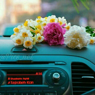 آرامش (@mashaver5cat)