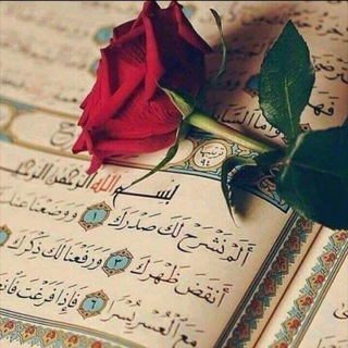 ئیسلام ژیانە☺️💙 (@eslam_zhyana)